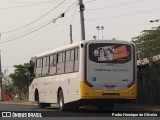 Pontual Sul Transporte e Turismo 6480 na cidade de Botucatu, São Paulo, Brasil, por Pedro Henrique de Oliveira. Número da foto: #12458301.