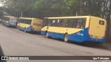 Trancid - Transporte Cidade de Divinópolis 263 na cidade de Divinópolis, Minas Gerais, Brasil, por Igor Policarpo. Número da foto: #12459765.