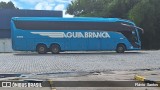 Viação Águia Branca 33160 na cidade de Cruz das Almas, Bahia, Brasil, por Flávio  Santos. Número da foto: #12458528.