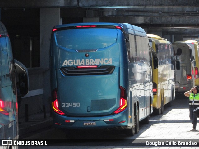 Viação Águia Branca 33450 na cidade de Belo Horizonte, Minas Gerais, Brasil, por Douglas Célio Brandao. Número da foto: #12462952.