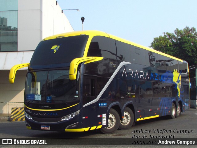 Arara Azul Viagens > Arara's Brasil Turismo 2024 na cidade de Rio de Janeiro, Rio de Janeiro, Brasil, por Andrew Campos. Número da foto: #12461626.