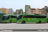 Pássaro Verde 15130 na cidade de Viçosa, Minas Gerais, Brasil, por Christian  Fortunato. Número da foto: #:id.