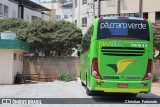 Pássaro Verde 16911 na cidade de Viçosa, Minas Gerais, Brasil, por Christian  Fortunato. Número da foto: #:id.