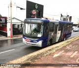 Transportes Capellini 32.046 na cidade de Nova Odessa, São Paulo, Brasil, por Fred Sposito. Número da foto: #:id.