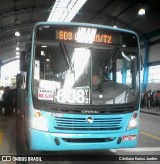 Transtol Transportes 0807010 na cidade de Manaus, Amazonas, Brasil, por Cristiano Eurico Jardim. Número da foto: #:id.