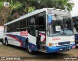 Brubuss Transportes 100 na cidade de Campinas, São Paulo, Brasil, por Danilo Augusto. Número da foto: #12462230.
