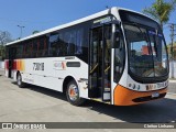 Novix Bus 73018 na cidade de Rio de Janeiro, Rio de Janeiro, Brasil, por Cleiton Linhares. Número da foto: #12461905.