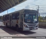 Transporte Tropical 4309 na cidade de Aracaju, Sergipe, Brasil, por Dayvison Santiago. Número da foto: #12461095.