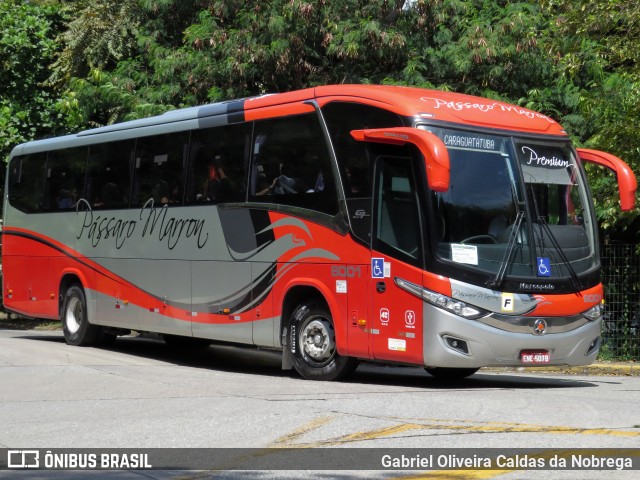 Empresa de Ônibus Pássaro Marron 6001 na cidade de São Paulo, São Paulo, Brasil, por Gabriel Oliveira Caldas da Nobrega. Número da foto: #12464091.