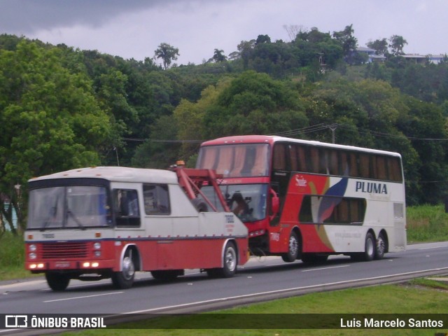Pluma Conforto e Turismo 7800 na cidade de Miracatu, São Paulo, Brasil, por Luis Marcelo Santos. Número da foto: #12463943.