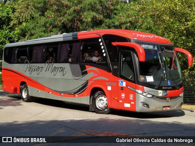 Empresa de Ônibus Pássaro Marron 6006 na cidade de São Paulo, São Paulo, Brasil, por Gabriel Oliveira Caldas da Nobrega. Número da foto: #12464103.