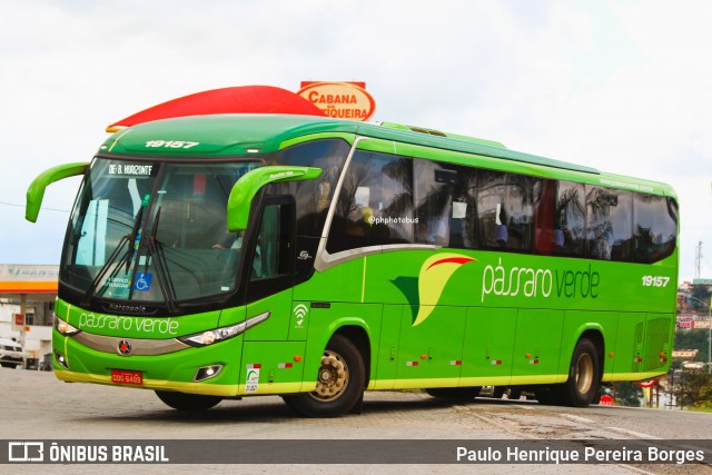 Pássaro Verde 19157 na cidade de Barbacena, Minas Gerais, Brasil, por Paulo Henrique Pereira Borges. Número da foto: #12463774.