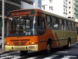 VSLL - Viação Santa Luzia 210 na cidade de Juiz de Fora, Minas Gerais, Brasil, por Richard Aquino. Número da foto: #:id.