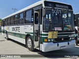 Ônibus Particulares 8298 na cidade de Rio de Janeiro, Rio de Janeiro, Brasil, por Cleiton Linhares. Número da foto: #12464019.
