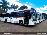 Borborema Imperial Transportes 489 na cidade de Recife, Pernambuco, Brasil, por Vinicius Fernando. Número da foto: #12464660.