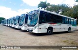 Borborema Imperial Transportes 470 na cidade de Recife, Pernambuco, Brasil, por Vinicius Fernando. Número da foto: #12464671.