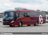 Borborema Imperial Transportes 2410 na cidade de Jaboatão dos Guararapes, Pernambuco, Brasil, por Ytalo Alves. Número da foto: #:id.