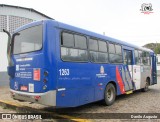 Expresso Metrópolis Transportes e Viagens 1263 na cidade de Jaguariúna, São Paulo, Brasil, por Danilo Augusto. Número da foto: #12464434.