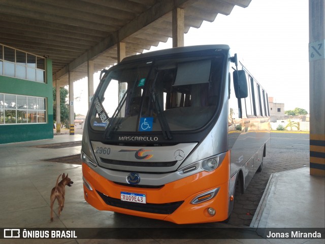 TransCunha Fretamento e Turismo 2960 na cidade de Tupaciguara, Minas Gerais, Brasil, por Jonas Miranda. Número da foto: #12465785.