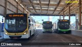 COOTEGO - Cooperativa de Transportes do Estado de Goiás 40133 na cidade de Goiânia, Goiás, Brasil, por Carlos Júnior. Número da foto: #12467392.