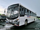 Tracasa 40 na cidade de Limón, Limón, Limón, Costa Rica, por Yliand Sojo. Número da foto: #12466835.