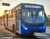 ANSAL - Auto Nossa Senhora de Aparecida 066 na cidade de Juiz de Fora, Minas Gerais, Brasil, por Antônio Carlos Rosário. Número da foto: #:id.