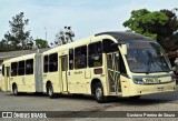 Araucária Transportes Coletivos 19M70 na cidade de Araucária, Paraná, Brasil, por Gustavo Pereira de Souza. Número da foto: #:id.