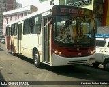 Transtol Transportes 0810006 na cidade de Manaus, Amazonas, Brasil, por Cristiano Eurico Jardim. Número da foto: #:id.