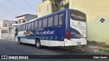 Piccolotur Transportes Turísticos 13306 na cidade de Guarulhos, São Paulo, Brasil, por Fábio Santos. Número da foto: #12469232.