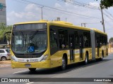 Viação Pioneira 234281 na cidade de Santa Maria, Distrito Federal, Brasil, por Gabriel Rocha. Número da foto: #12468152.