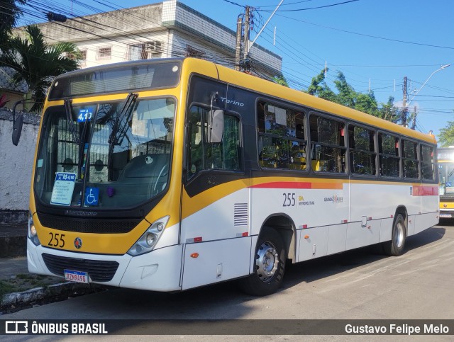 Empresa Metropolitana 255 na cidade de Recife, Pernambuco, Brasil, por Gustavo Felipe Melo. Número da foto: #12470294.