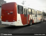 Transtol Transportes 0811007 na cidade de Manaus, Amazonas, Brasil, por Cristiano Eurico Jardim. Número da foto: #:id.