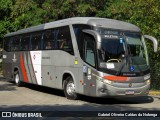 Empresa de Ônibus Pássaro Marron 81254 na cidade de São Paulo, São Paulo, Brasil, por Gabriel Oliveira Caldas da Nobrega. Número da foto: #12470347.