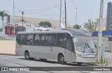 Transporte Coletivo Glória BL315 na cidade de São José dos Pinhais, Paraná, Brasil, por Amauri Souza. Número da foto: #12472591.
