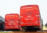 Rouxinol 2515 na cidade de Contagem, Minas Gerais, Brasil, por Welisson  Oliveira. Número da foto: #:id.