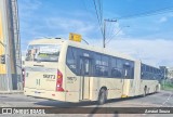 Araucária Transportes Coletivos 19M73 na cidade de Curitiba, Paraná, Brasil, por Amauri Souza. Número da foto: #12527422.