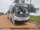 Transmarle Turismo > TransMarlen 2101 na cidade de Fundão, Espírito Santo, Brasil, por Wellington  da Silva Felix. Número da foto: #12549409.