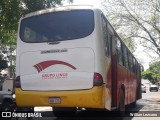 Lince 16 na cidade de Asunción, Paraguai, por Willian Lezcano. Número da foto: #12549741.