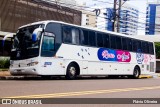 Rosa Azul 2502 na cidade de Toledo, Paraná, Brasil, por Flávio Oliveira. Número da foto: #:id.