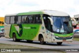 Pássaro Verde 11085 na cidade de Barbacena, Minas Gerais, Brasil, por Lucas Oliveira. Número da foto: #:id.