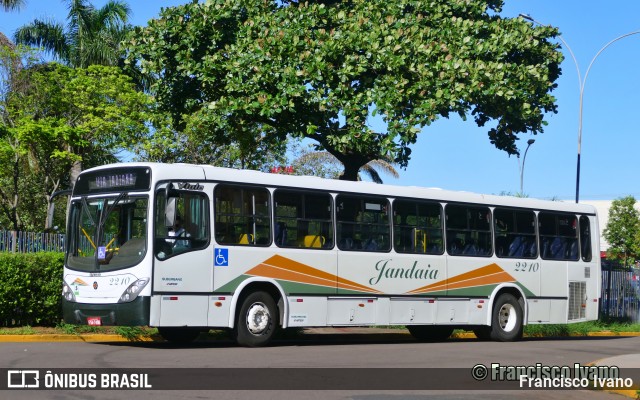 Jandaia Transportes e Turismo 2210 na cidade de Presidente Prudente, São Paulo, Brasil, por Francisco Ivano. Número da foto: #12555806.