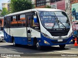 Viña Bus 250 na cidade de Viña del Mar, Valparaíso, Valparaíso, Chile, por Tadeu Vasconcelos. Número da foto: #12554141.