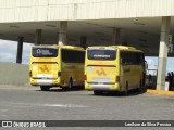 Viação Itapemirim 8531 na cidade de Caruaru, Pernambuco, Brasil, por Lenilson da Silva Pessoa. Número da foto: #12557666.