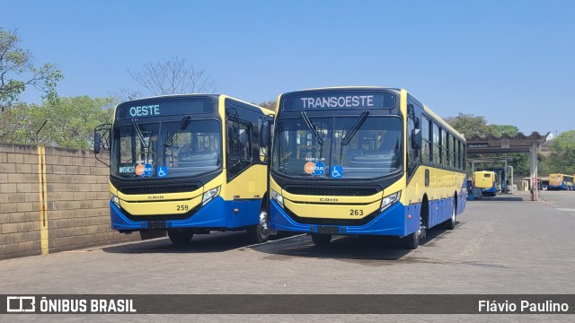 Trancid - Transporte Cidade de Divinópolis 263 na cidade de Divinópolis, Minas Gerais, Brasil, por Flávio Paulino. Número da foto: #12558017.