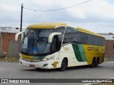 Empresa Gontijo de Transportes 19535 na cidade de Caruaru, Pernambuco, Brasil, por Lenilson da Silva Pessoa. Número da foto: #12558692.