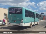 Laranjal Transportes 406 na cidade de Pelotas, Rio Grande do Sul, Brasil, por Miguel Filho. Número da foto: #12559598.