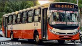 Belém Rio Transportes BD-219 na cidade de Belém, Pará, Brasil, por Leonardo Rocha. Número da foto: #12559825.