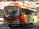 VSLL - Viação Santa Luzia 600 na cidade de Juiz de Fora, Minas Gerais, Brasil, por Luiz Krolman. Número da foto: #12557772.