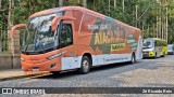 Turispall Transporte e Turismo 5900 na cidade de Petrópolis, Rio de Janeiro, Brasil, por Zé Ricardo Reis. Número da foto: #12558535.