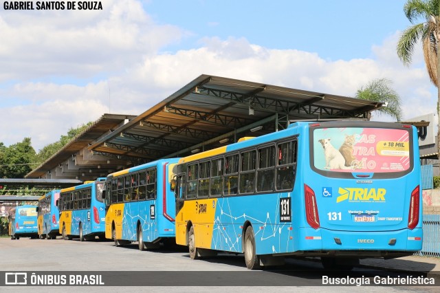 Sharp Transportes 131 na cidade de Araucária, Paraná, Brasil, por Busologia Gabrielística. Número da foto: #12561299.